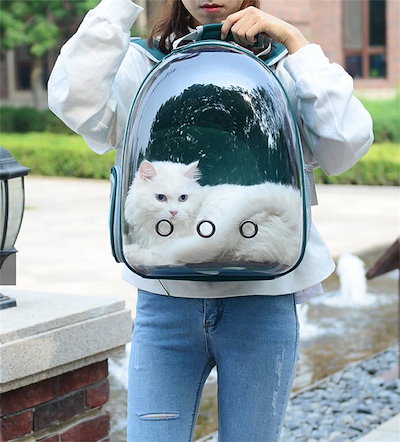 ?ペットを飼う家に最適?猫カプセルバックパック...のサムネイル