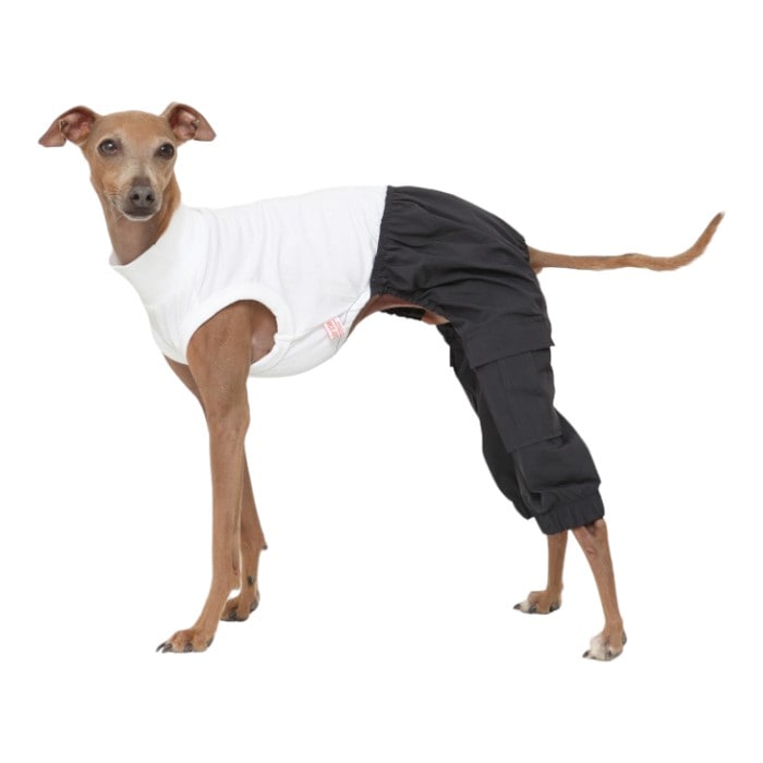 ウィペット服 3XL カーゴパンツ ロンパース ワイドパンツ つなぎ おしゃれ 韓国 犬服 中型犬 大型犬 春 夏 秋 冬 室内着