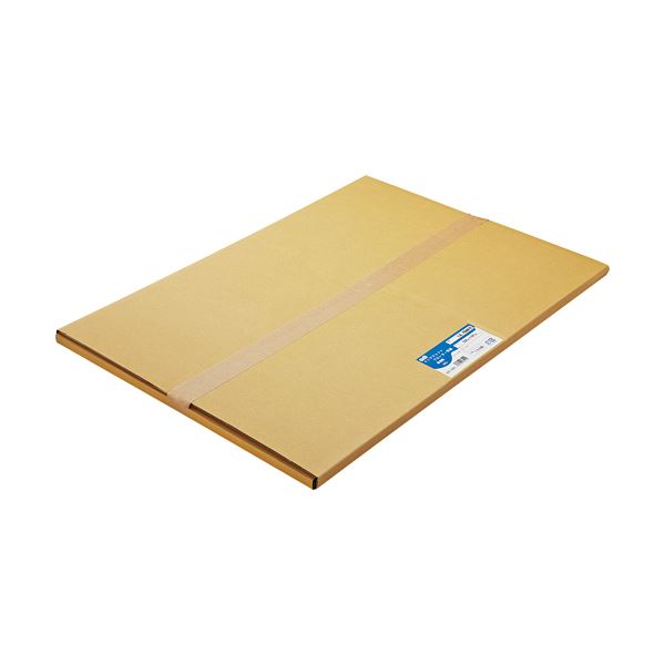 (まとめ) TANOSEE 普通紙 A2カット 420×594mm 1箱（100枚） (×5セット)