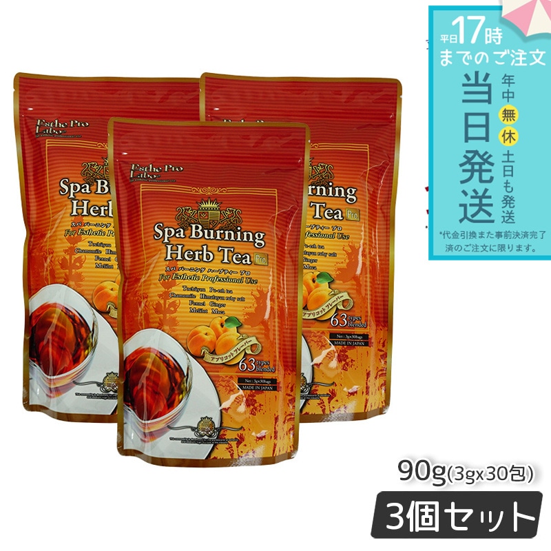 エステプロラボ スパ バーニング ハーブティー プロ 3g×30 3個セット Esthe Pro Labo ハーブティ ハーブティープロ ダイエット ダイエット茶 オーガニック代謝系