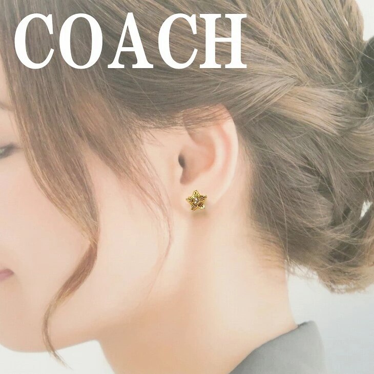 ピアス ラインストーン ワイルドフラワー 花 C4270GLD 【ネコポス】