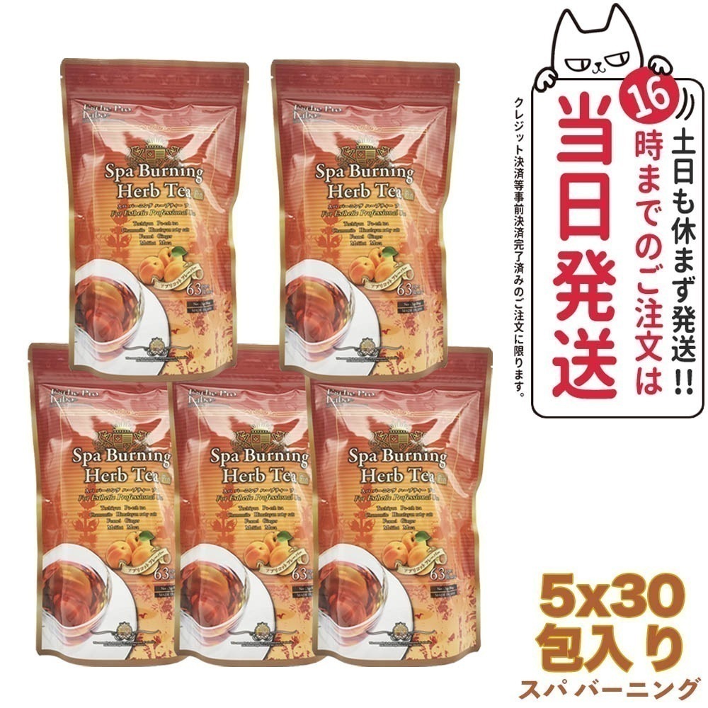 【5袋セット 賞味期限2026/01】エステプロラボ スパ バーニング ハーブティー プロ 30包 Esthe Pro Labo ダイエット オーガニック
