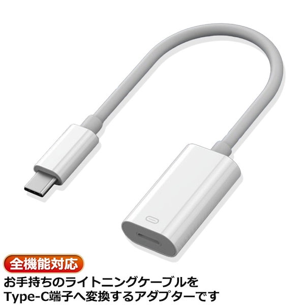 usb ストア c lightning イヤホン