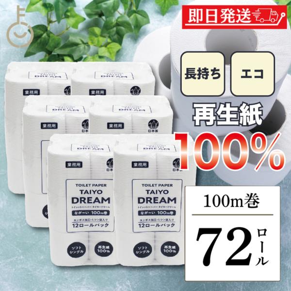 太洋紙業 日本製 トイレットペーパー ソフト シングル 芯あり 100m 72ロール ( 12ロール×6パック ) タイヨードリーム