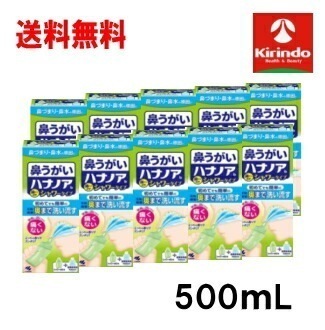 送料無料 10本セット 小林製薬 ハナノアシャワータイプ 500mL×10個【一般医療機器】鼻うがい 鼻洗浄 初心者用(洗浄器具＋専用液)