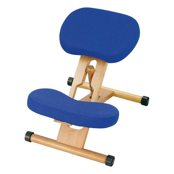 プロポーションチェア 高さ調整/子供イス/ブルー CH-88W ブルー