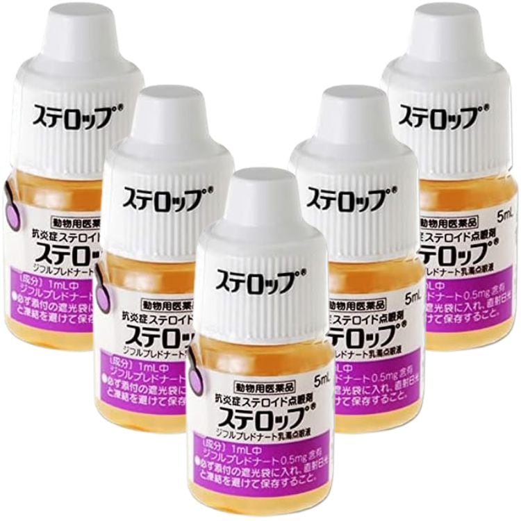 5個セット 千寿製薬 ステロップ 5ml 犬用 点眼剤 動物用医薬品