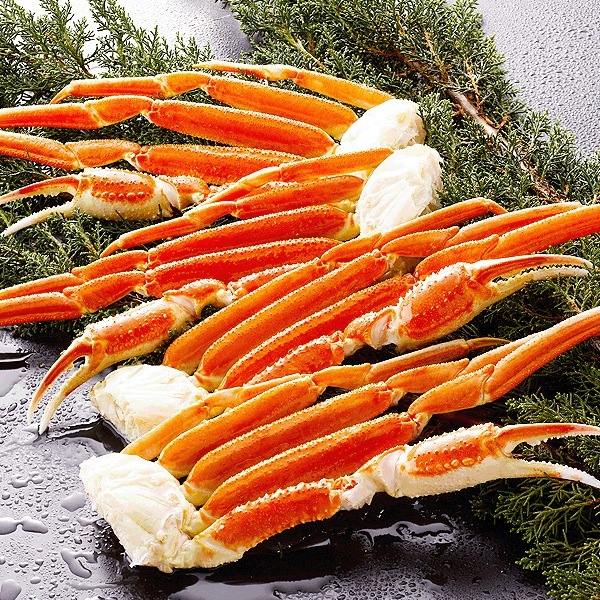 (身入り抜群のA級品 )ボイルずわいがに脚800g（34肩）