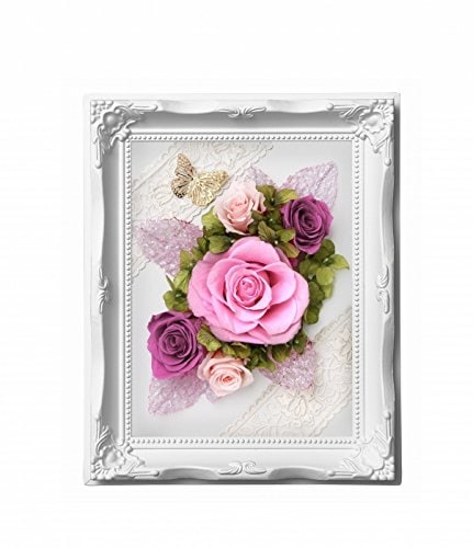 ルネッサンスフレームM ピンク SD6821PR SD6821PR