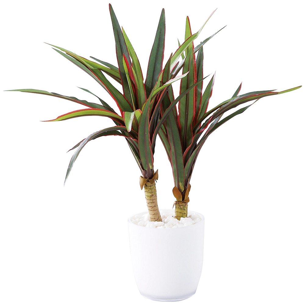 SC触媒加工 ミニ観葉 ミニユッカ白（フェイクグリーン） 1131KS-W A086-011 ラッピング無料 のし無料 メッセージカード無料 ギフト 詰め合わせ ギフトセット 内祝い ご挨拶 A51