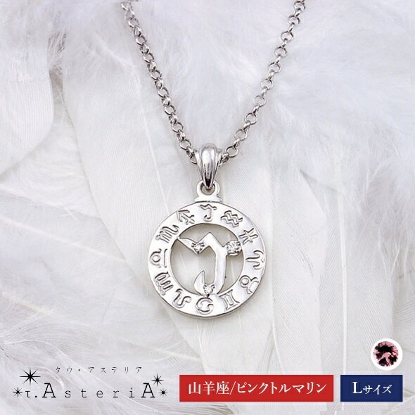 τ-Ast eri A SV タウアステリア ネックレス Lサイズ ( 山羊座 星座守護石 ピンクトルマリン ) シルバー