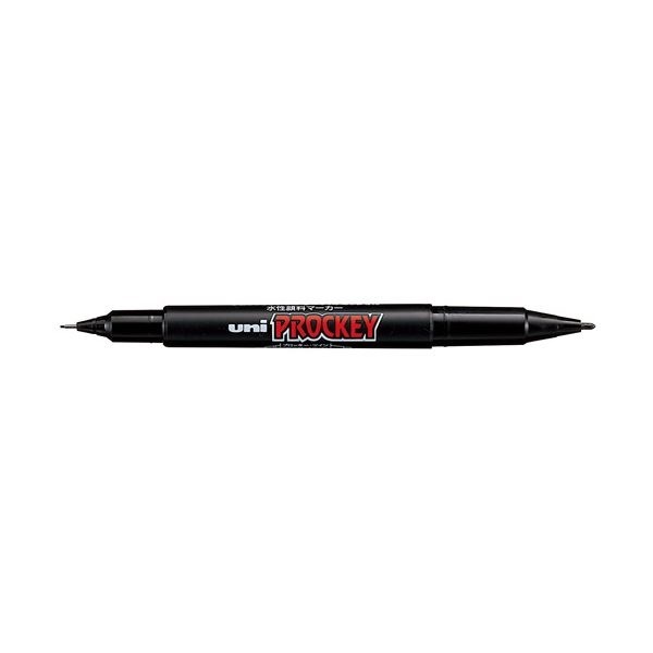（まとめ） 三菱鉛筆 プロッキーツイン PM-120T.24 細字 黒 10本10セット