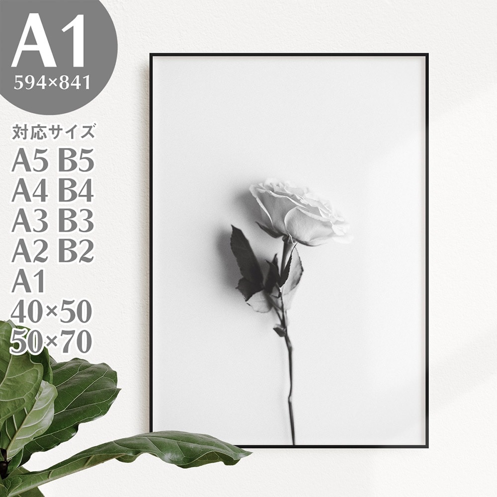A1 アートポスター フォトポスター 写真 薔薇 バラ モノトーン モノクロ AP161