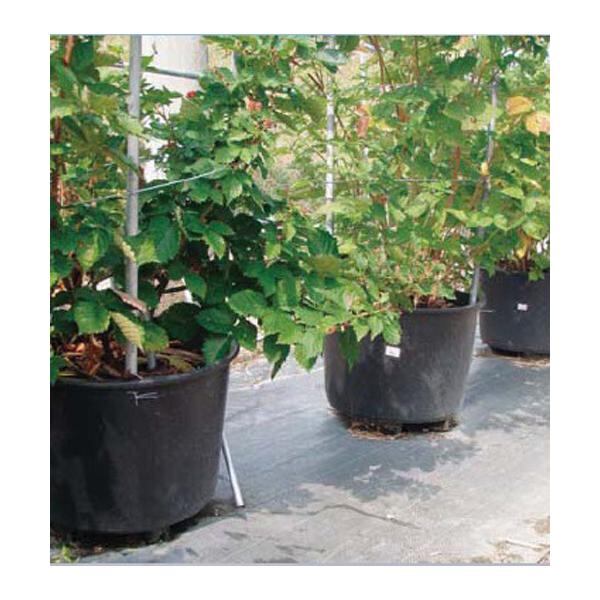 サンポリ　サンポット　８０L　Φ580　Ｘ　475mm