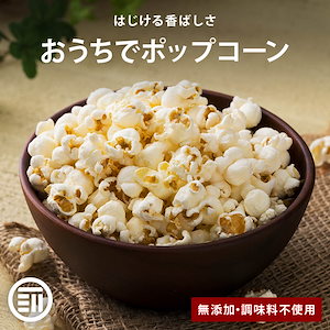 [前田家] ポップコーン 豆 900g お徳用 種 アメリカ産 とうもろこし 遺伝子組み換えなし コーン 大容量 海外菓子 スナック菓子 オンライン飲み会 映画のお供 ポイント消化 買い回り