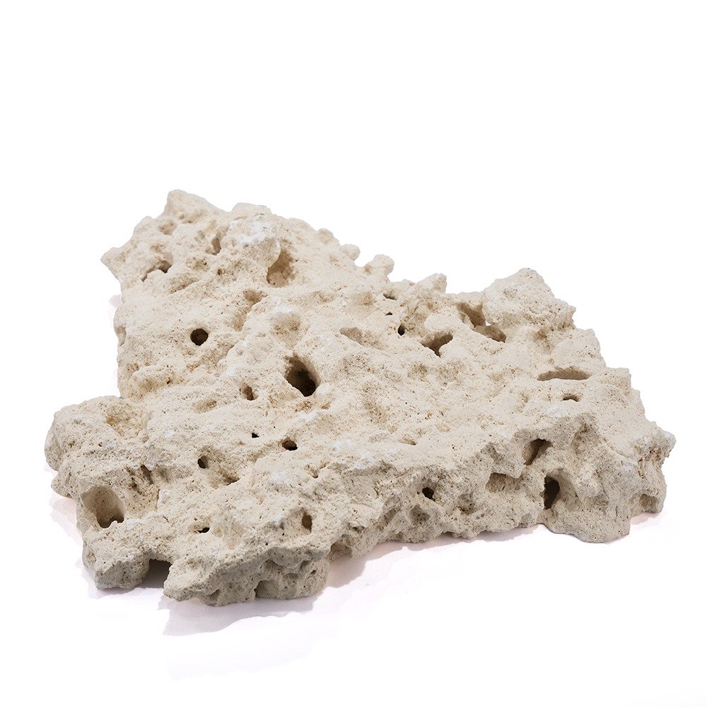 マルコロック　ファウンデーション　Ｍサイズ　１個　サンゴ　石　海水　水槽　飾り　レイアウト　ＣＲＣ21―20―90―00―00