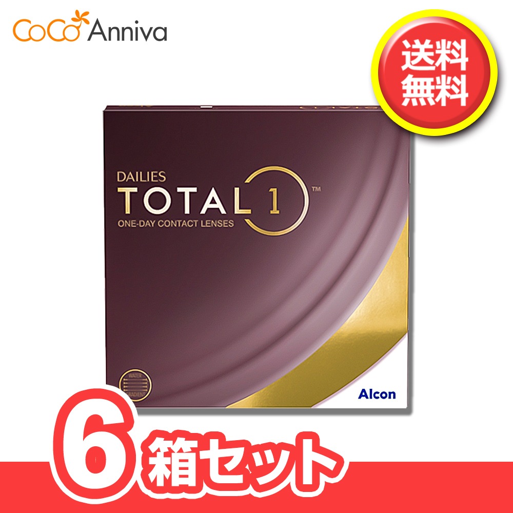6箱セット デイ リーズ トータルワン 90枚入 1日使い捨てコンタクト ワンデー 両眼270日分（9か月分） 要 処方箋 指示書 アルコン 43,290円