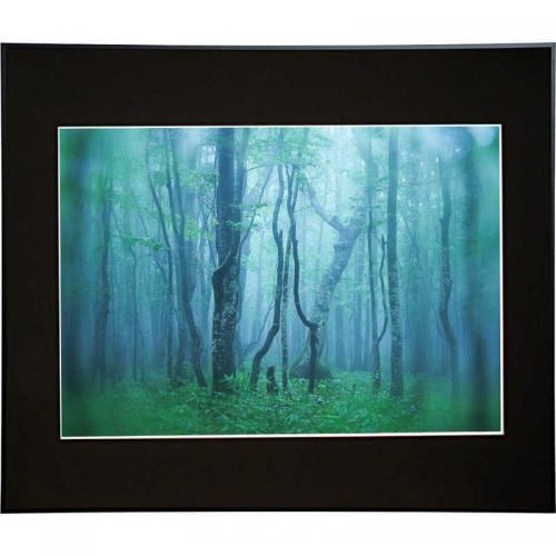 kenko ギヤラリ- A2 ブラツク AGY-A2-BKAGYA2-BK