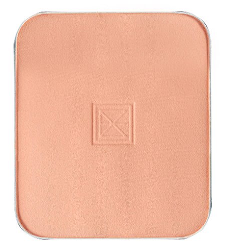 エクスボーテ ビジョンファンデーション ファインカバーパウダー ピンクオークル01(レフィル)