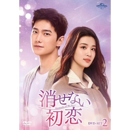 消せない初恋 DVD-SET2 ／ ヤン・ヤン (DVD) GNBF-5864