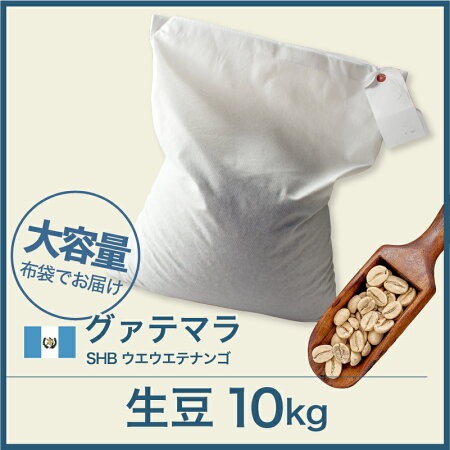 コーヒー生豆 10kg グァテマラ SHB ウエウエテナンゴ 大山珈琲 グアテマラ ガテマラ