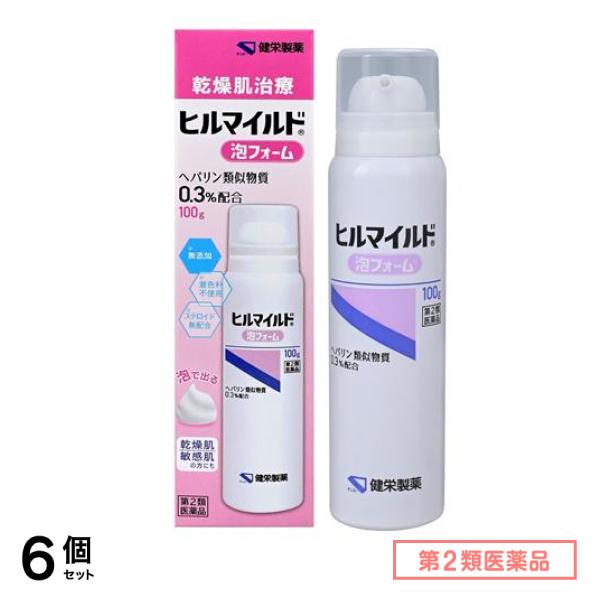 第２類医薬品 ヒルマイルド泡フォーム 100g 6個セット
