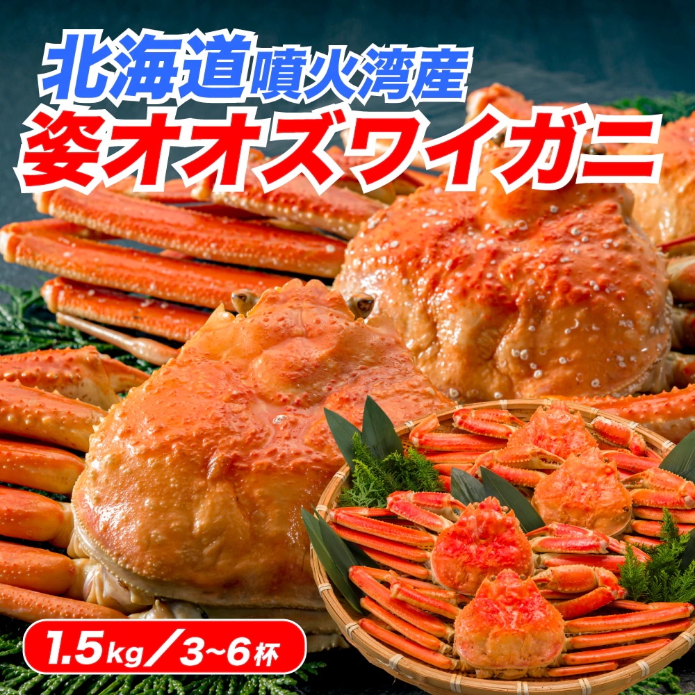 【北海道産】 オオズワイガニ 1.5kg 姿 ボイル （3-6尾） ギフト 贈答用 北海道産 北海道 カニ 蟹 ズワイガニ