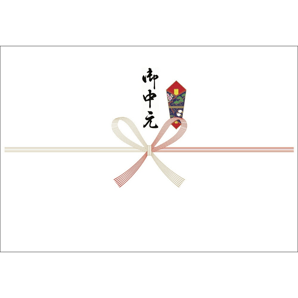 （まとめ買い）ササガワ プリンタ対応 のし紙 御中元 中杉判 100枚入 2-902 [x5] 7,819円