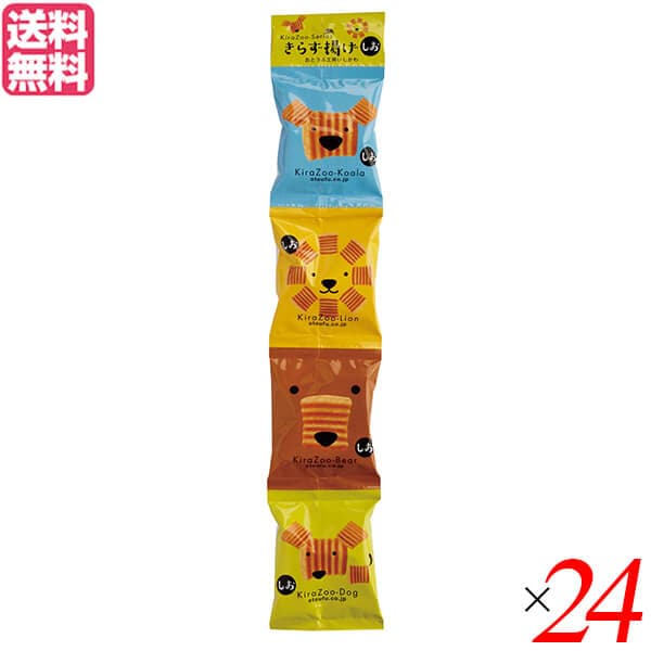 おから お菓子 スナック おとうふ工房いしかわ きらず揚げ しお 20g4連 24個セット