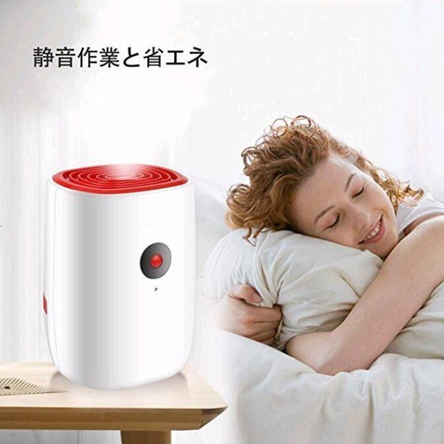 除湿機 衣類乾燥 小型 除湿乾燥機 除湿器 部屋干し湿気対策 カビ対策 梅雨対策 防霜機能 コンパクト 衣類乾燥 除湿機 静音 省