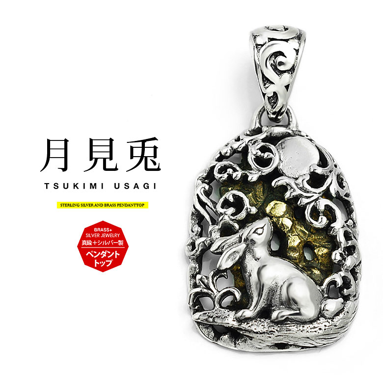 メール便なら送料無料 シルバーアクセサリー メンズ ペンダントトップ pe2207月に思いを馳せる月