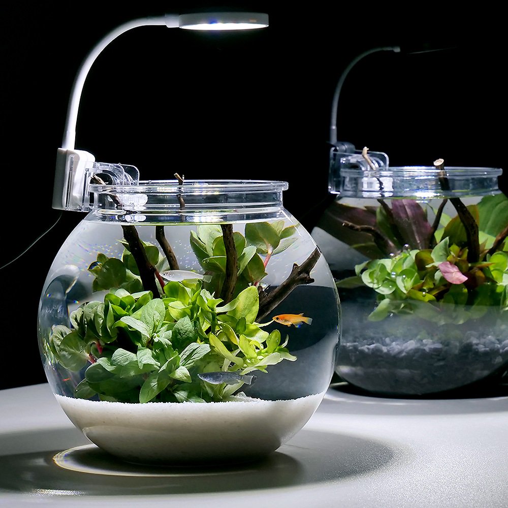 （めだか）（水草）お手軽メダカリウムセット　Ｓ　ホワイト　説明書付き　本州四国限定　ＣＲＣ10―11―03―10―10