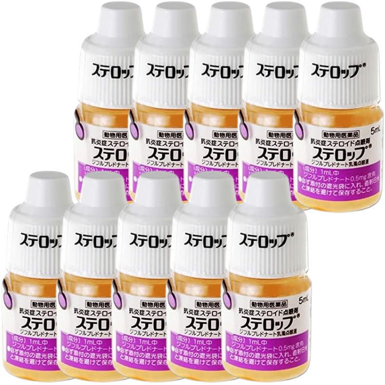 10個セット 千寿製薬 ステロップ 5ml 犬用 点眼剤 動物用医薬品