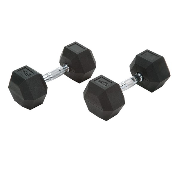 ラバーHEXダンベル 14KGK ガッコウキキグッズソノタ (etb546)