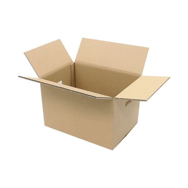 （まとめ） ジョインテックス WF穴付ダンボール箱 大10枚 B242J-L(×3セット)