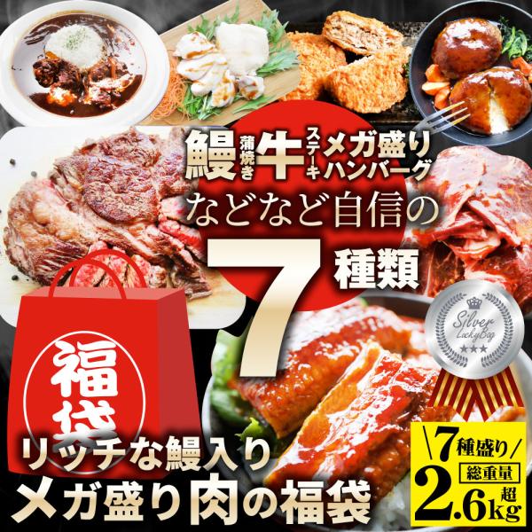 肉の福袋 シルバー メガ盛り 総重量2.64kg 焼肉 お中元 ギフト 食品 プレゼント お祝い あすつく