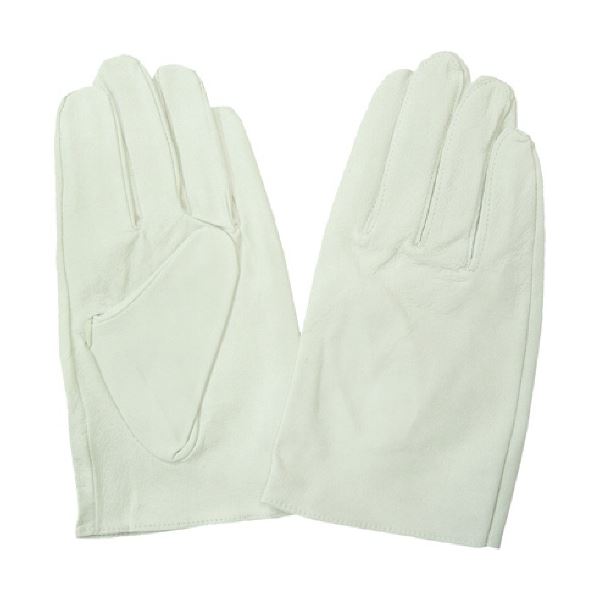 （まとめ）富士グローブ EX-230 白 LL 5962 1双 [x3セット]