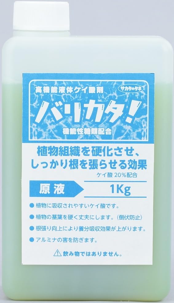 送料無料 サカタのタネ【サカタマモルPRO】バリカタ！