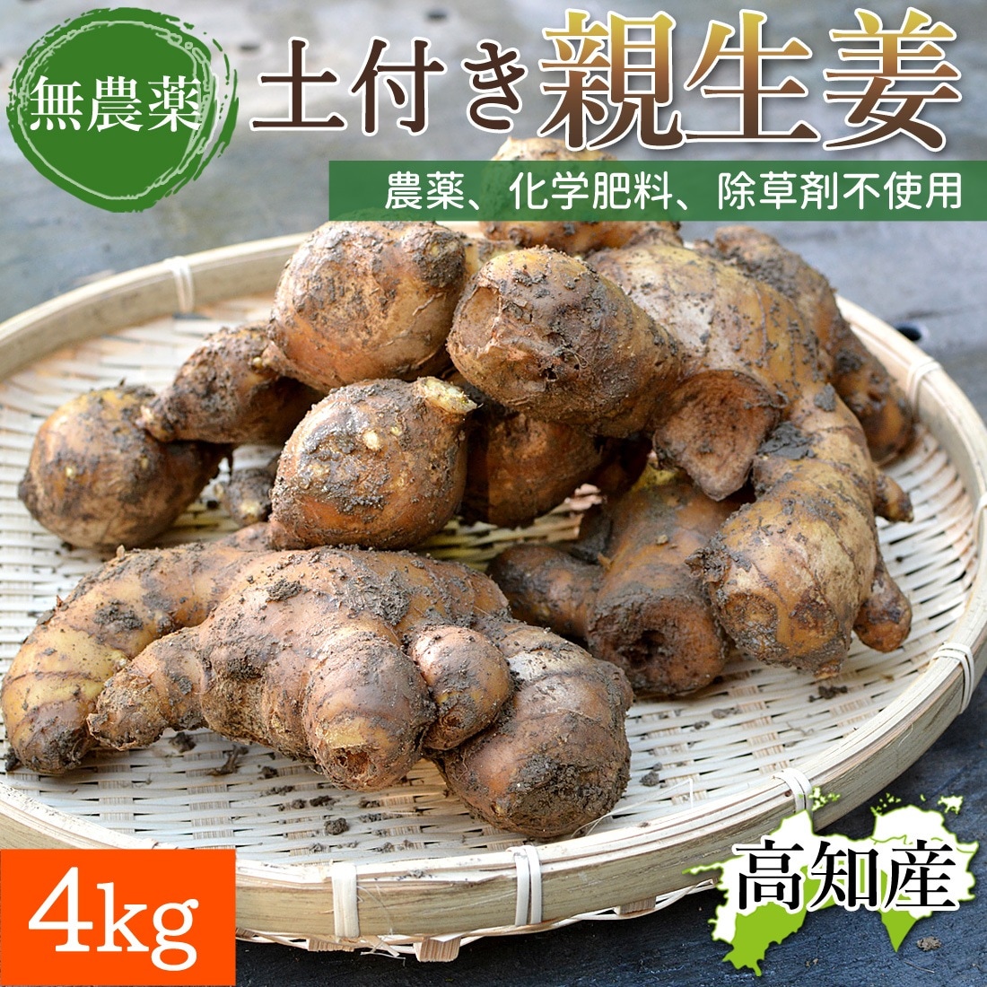 親生姜 自然栽培 しょうが 生姜 4kg 大生姜 高知産 国産 四万十町 窪川 ショウガ 4キロ 高知県産 高知生姜 自宅用 業務用 四万十町産 ヤマト発送