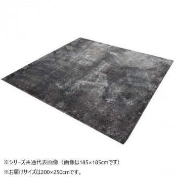 ソフトシャギー調ラグ ラルジュ 3畳 GY 200x250cm 1280200131303
