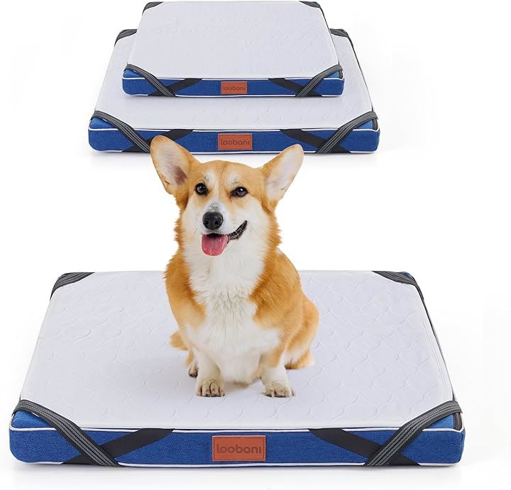 犬 介護ベッド 予防ベッド 防水 洗濯 丸洗い 子犬 老犬 介護用グッズ 足腰の弱いペットに最適 60x60x5cm(ダークブルー, 60x60x5cm)