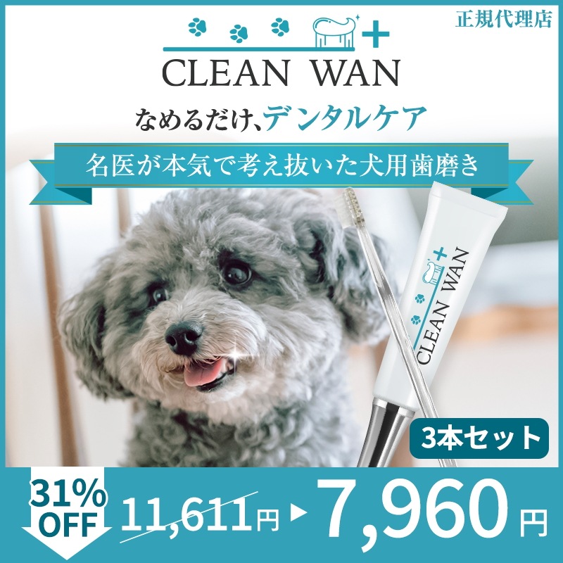 公式 CLEAN WAN クリーンワンジェル 3個セット 犬 歯磨き 歯磨き粉 デンタルケアジェル 犬用歯磨き粉 歯磨きジェル デンタルケア 犬口ケア 歯ブラシ 歯石 口臭 歯周病 ペット用歯磨