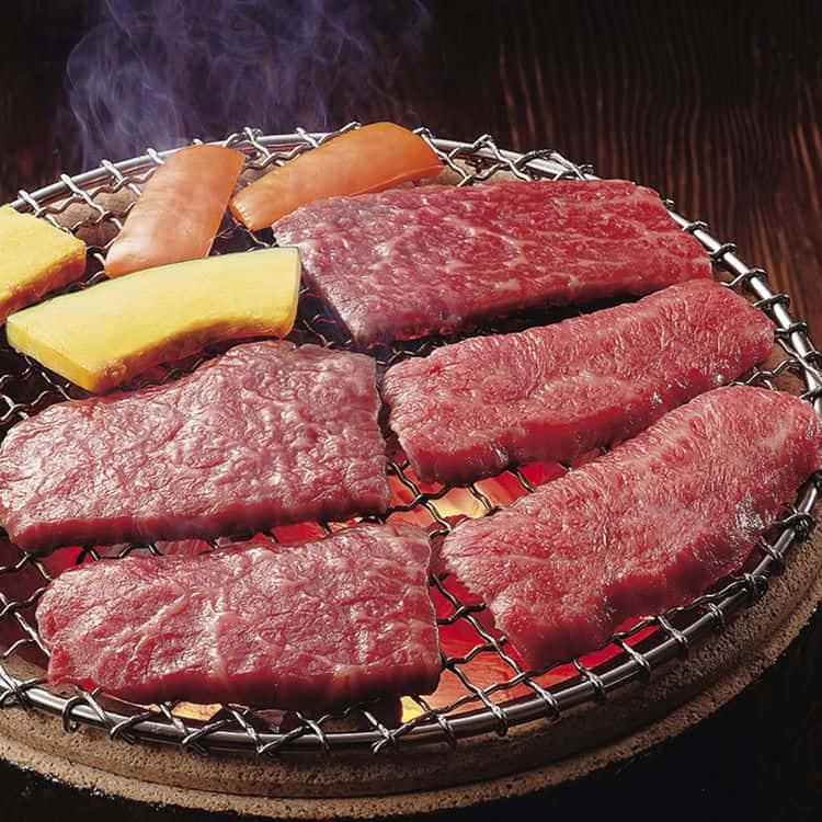 岐阜 飛騨牛焼肉 モモ 500g 離島は配送不可 3950091 お歳暮 お中元 お土産 ご進物 ギフト 贈り物に最適