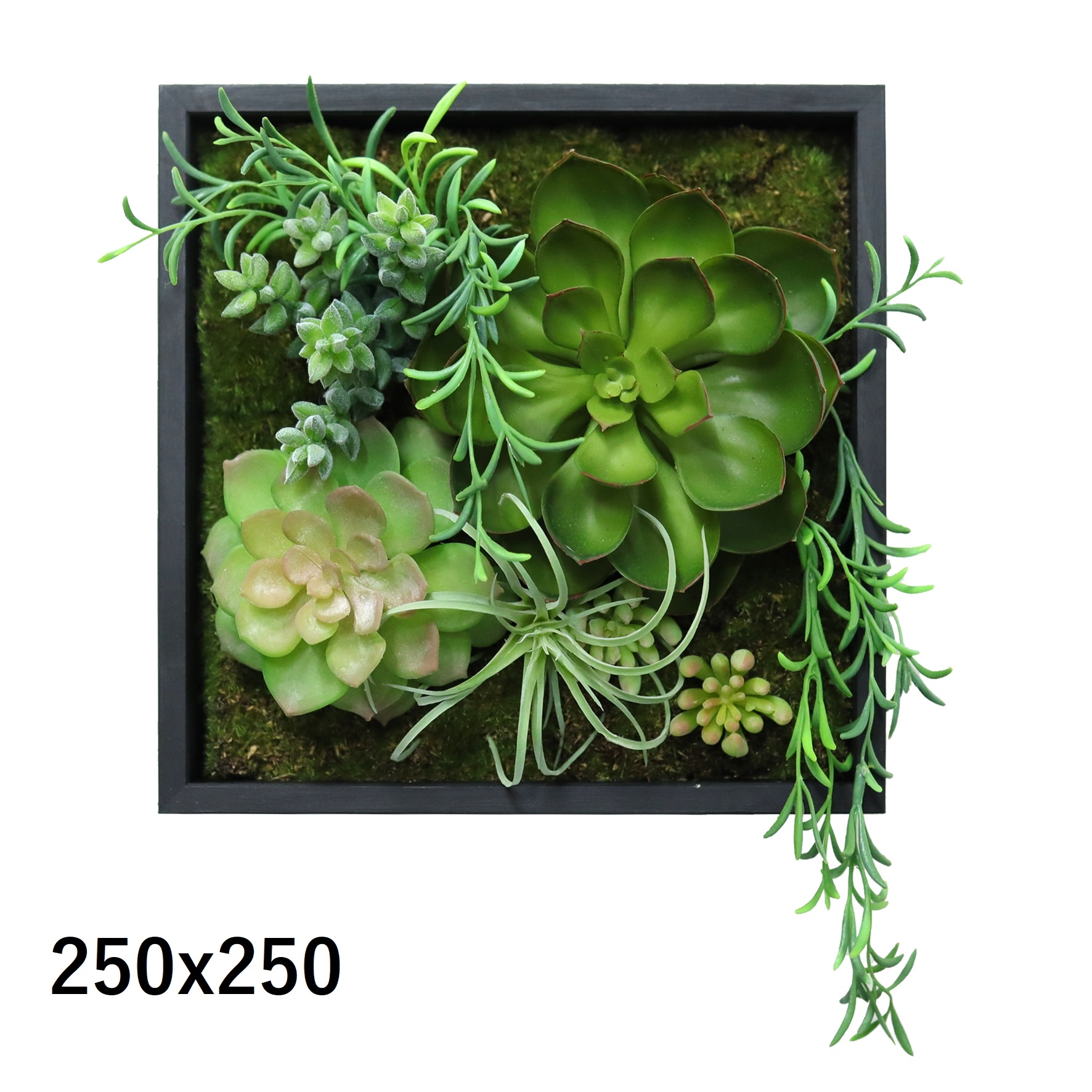 フェイクウォールグリーンアート １点もの B３