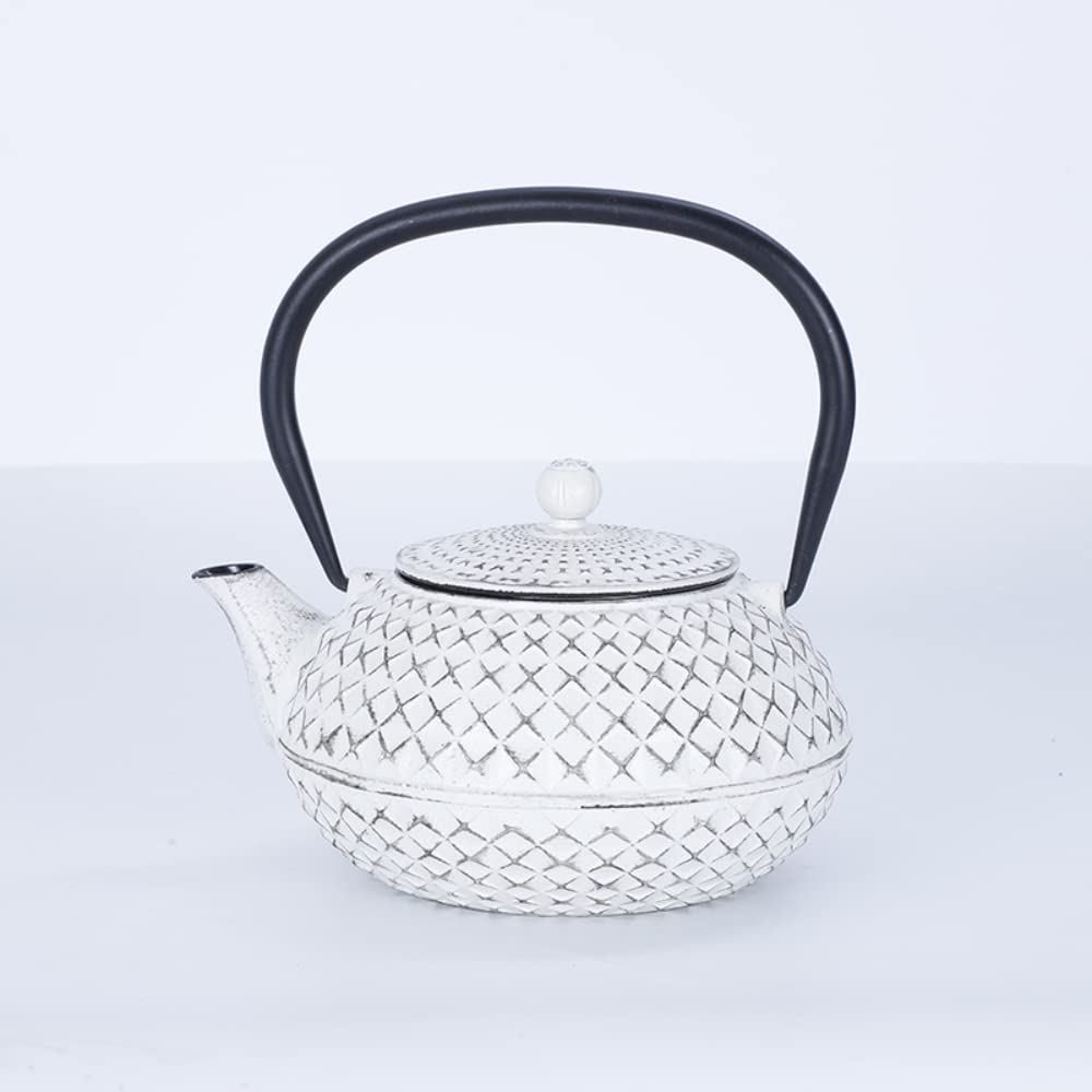 鉄瓶 急須 南部鉄器 鉄びん IH対応 白いやかん 急須 茶こし付き 鉄やかん ケトル 鉄急須 鋳物 鋳鉄のやかん茶道道具 伝統工芸品（500ml/800ml）