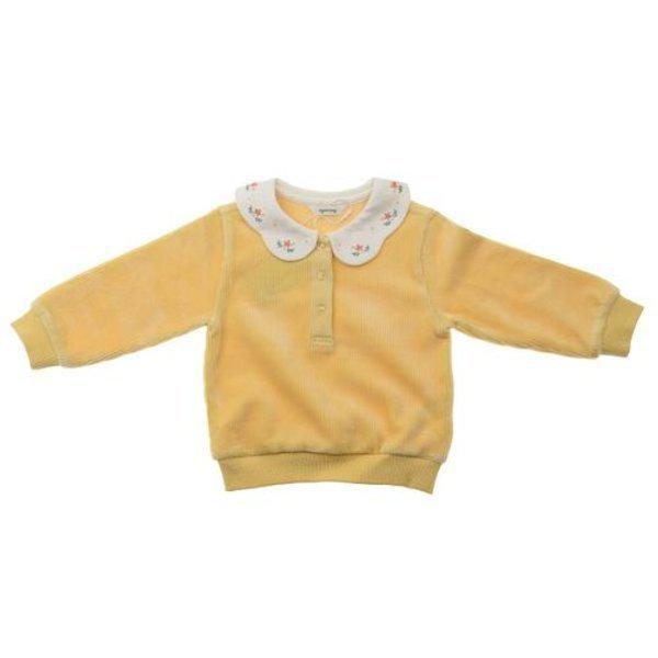 01S731054 ティニゴールベロアカラーティー