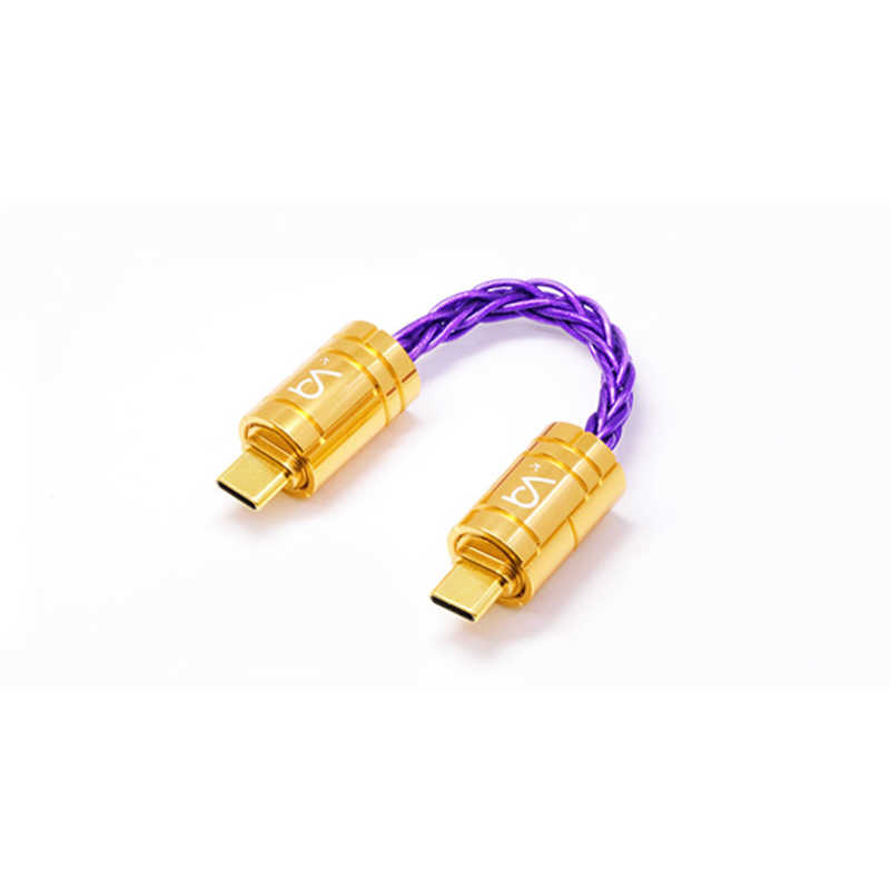 BEATAUDIO　リケーブル　BEA0843