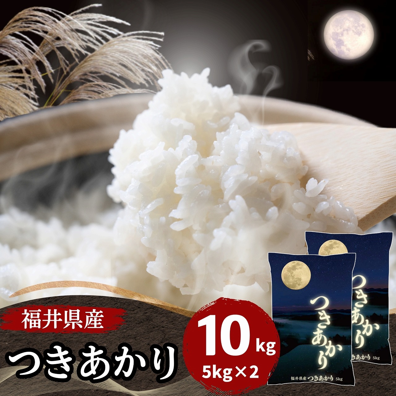 【数量限定】福井県産つきあかり 10kg(5kg2袋) 白米 令和7年産