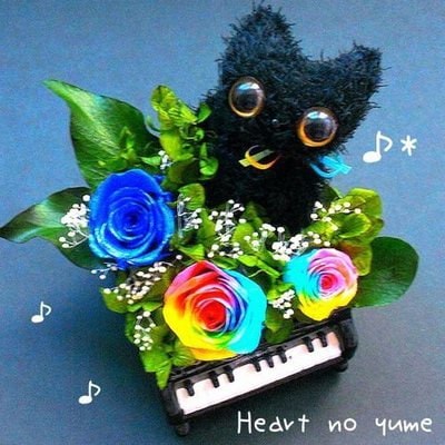 【高級プリザーブドフラワー】レインボーローズ　クロネコ & ピアノ 高級プリザーブドフラワー】レインボーローズ クロネコ & ピアノ Qoo10