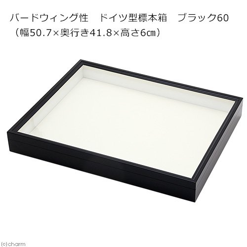 バードウィング製　ドイツ型標本箱　ブラック６０（幅５０．７X奥行き４１．８X高さ６ｃｍ）　昆虫　蝶　甲虫　標本ケース　ＣＲＣ18―82―30―00―00